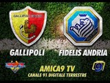 Gallipoli - Fidelis Andria | Diretta Streaming