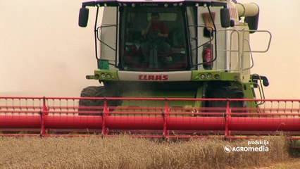 Osiguranje nije trošak, već investicija u budućnost