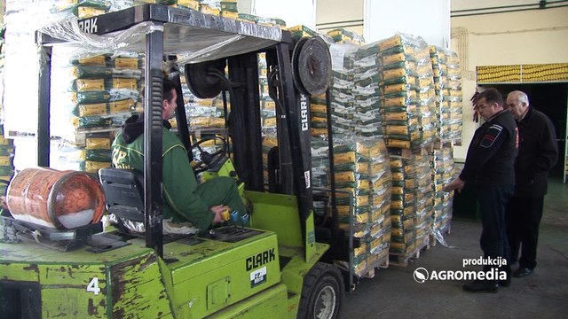 ZP hibridi kukuruza – čuvaju tradiciju, poverenje i kvalitet već 7 decenija