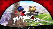 Miraculous Ladybug Episode - Cat Noir as seen by Marinette | Tales of Ladybug & Cat Noir