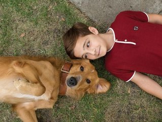 Tu mejor amigo - Trailer español (HD)