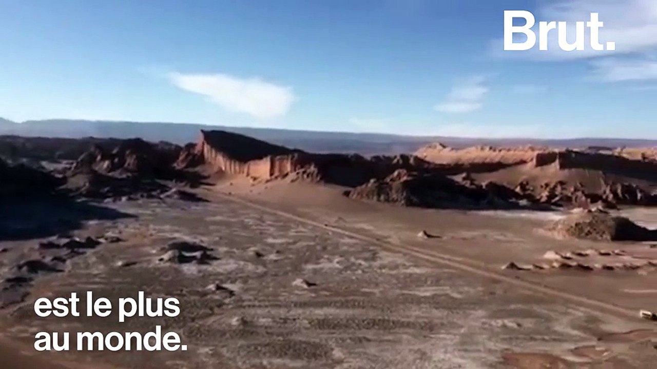 L'étonnante floraison du désert d'Atacama au Chili