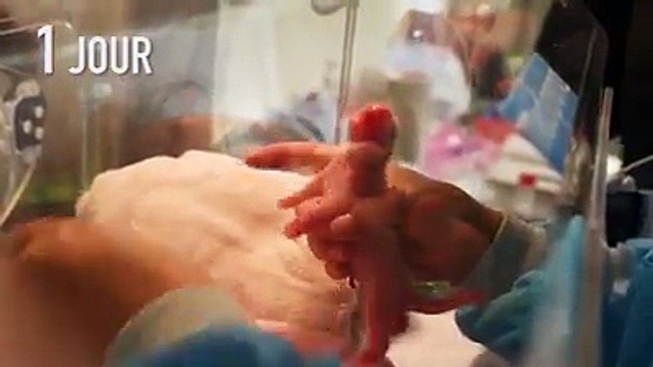Le bébé panda du zoo de Beauval a un mois !