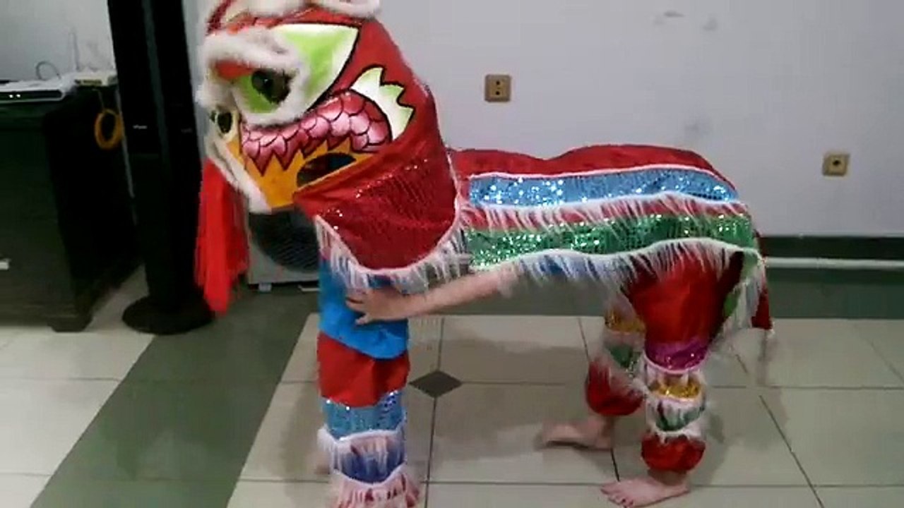 Mini- barongsai