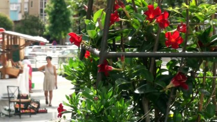 La Baragaña Alta acogió el 2 y 3 de septiembre el II Mercado ecológico de Candás, Asturias