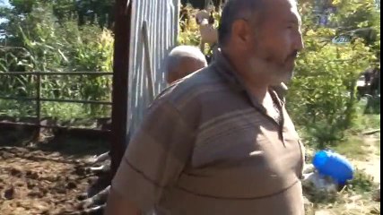 Besihanedeki 19 Büyükbaş Hayvan Telef Oldu