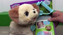 FurReal Friends Pax, My Poopin Pup Puppy Poop Dog Walk Unboxing Toy Review by TheToyRevie