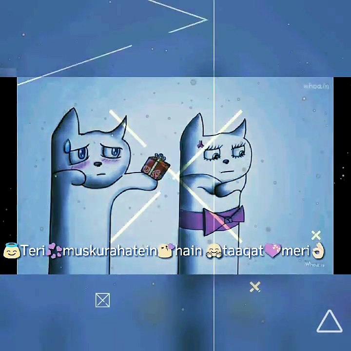 Whatsapp video status