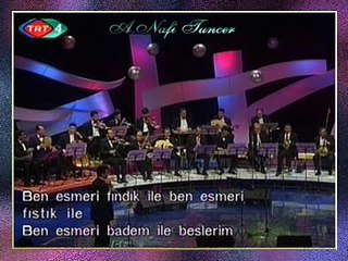 TRT TSM KORO - Sarı Kurdelem Sarı (4)