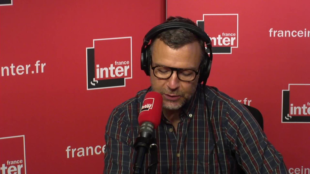 Les fourmis radeaux de la tempête Harvey - L'Edito carré