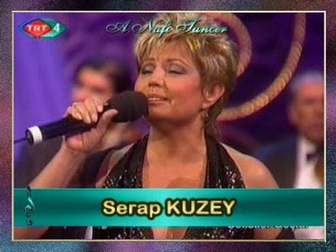 Serap KUZEY - Bir Bahar Akşamı Rastladım Size