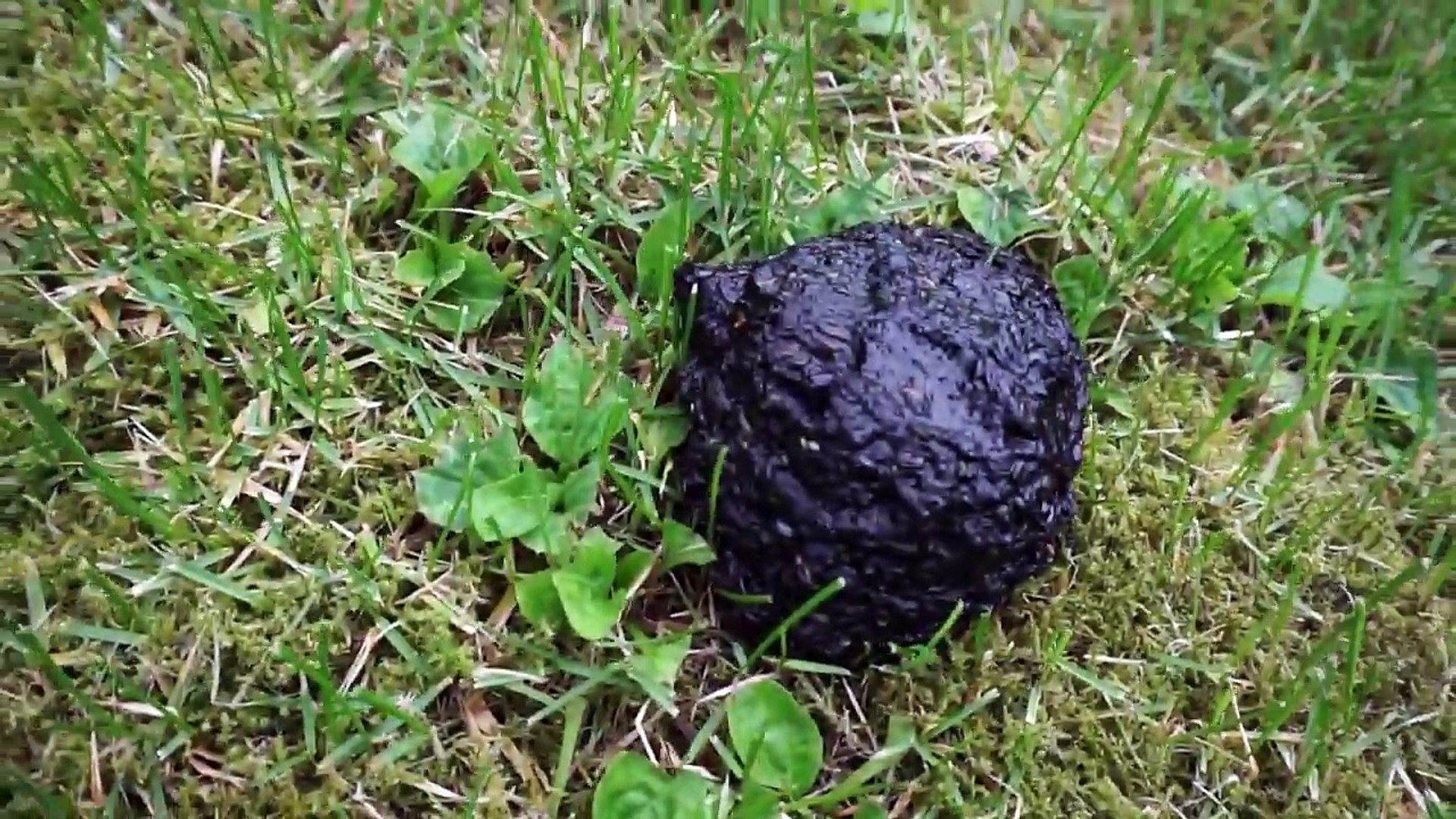 ⁣RV Life ~ Going back to our TRUCK camping roots.