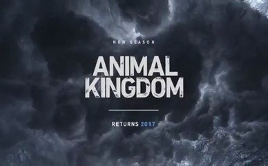 Animal Kingdom - Promo 2x02