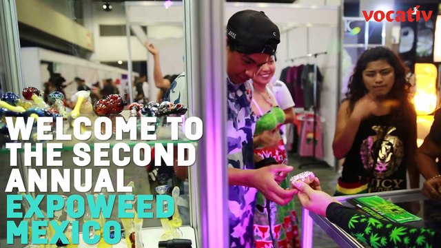 Mexico’s Expoweed Merges Pot With Mexican Culture