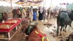کراچی میں بارش سے مویشی منڈی دلدل بن گئی
