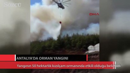 Antalya’da orman yangını