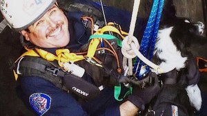 ‘Unadoptable' Shelter Dog Is Now Saving Lives In Texas After Hurricane Harvey