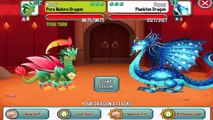 Noël ville bon dans prix tournoi tournois 2 Dragon Dragon
