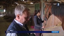 Oise : un centre de remise en forme pour chevaux unique en France
