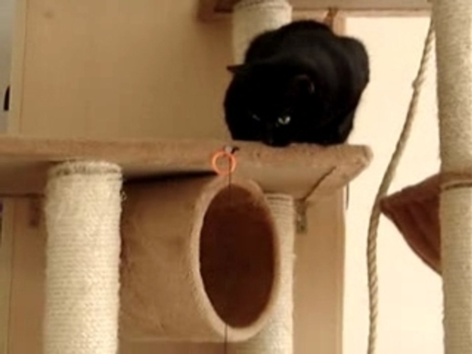 Mov00623