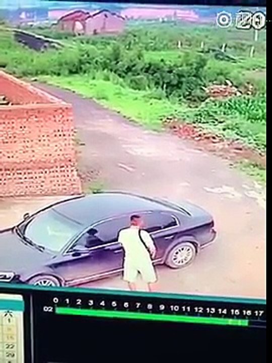 Car Thief & Car Sex 偷車賊遭遇車震