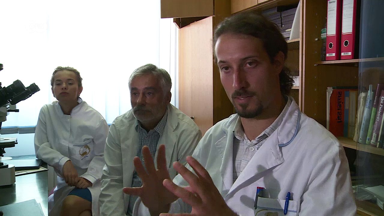 Kranke Rochen und Haie in der Adria | DW Deutsch