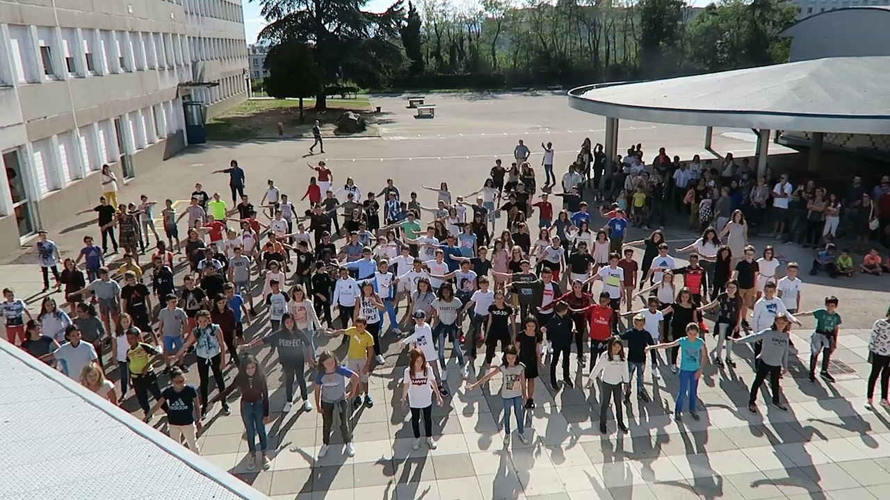 flash-mob