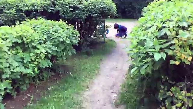 Vida de mascotas secreto el juguetes ★ animales de juguete divertido Vida secreta de compañía procedentes