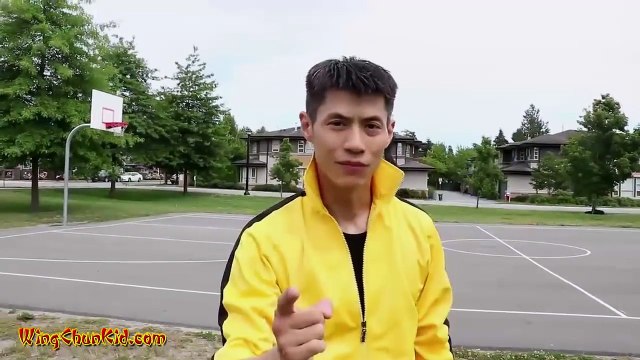 Tai Chi Self Defense Fighting Combat Techniques