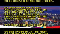 [해외반응] 중국인 없는 한국으로 오세요 패러디 화제