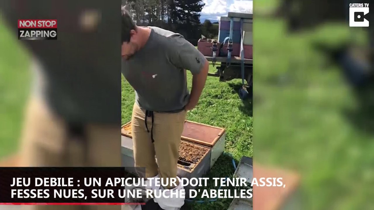 Angleterre: un apiculteur tente de rester assis sur une ruche d’abeilles (Vidéo)