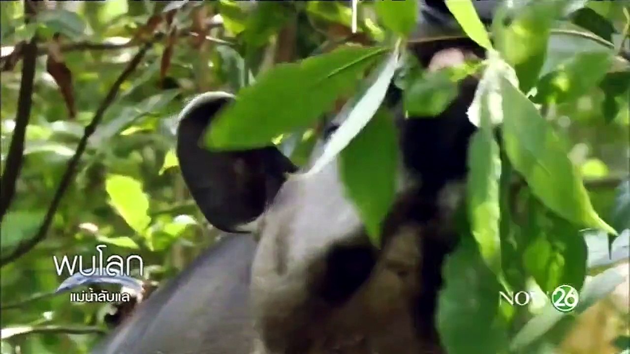 สารคดี ความลับของแม่น้ำลับแล