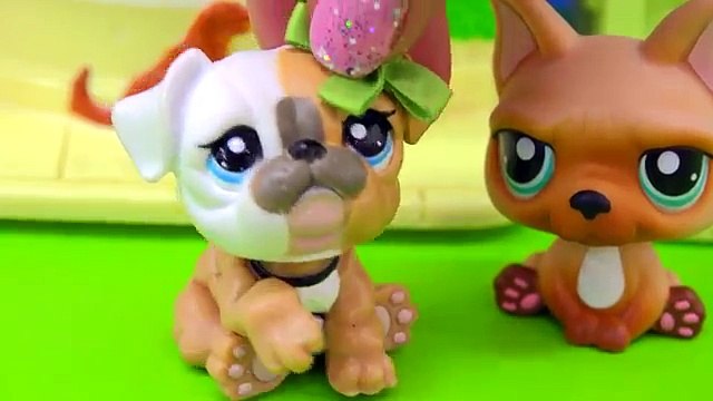 Печенье доктор Наименьший Лпс мамочки Офис часть домашнее животное серии Магазин видео посещение 63