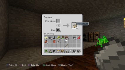 Mincraft Lets play live (5)