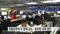 외환보유액 두 달째 감소 ...고개 드는 한미 통화 스와프 요구 / YTN (Yes! Top News)