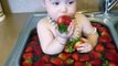 Une petite fille adorable prend son délicieux bain de fraises !
