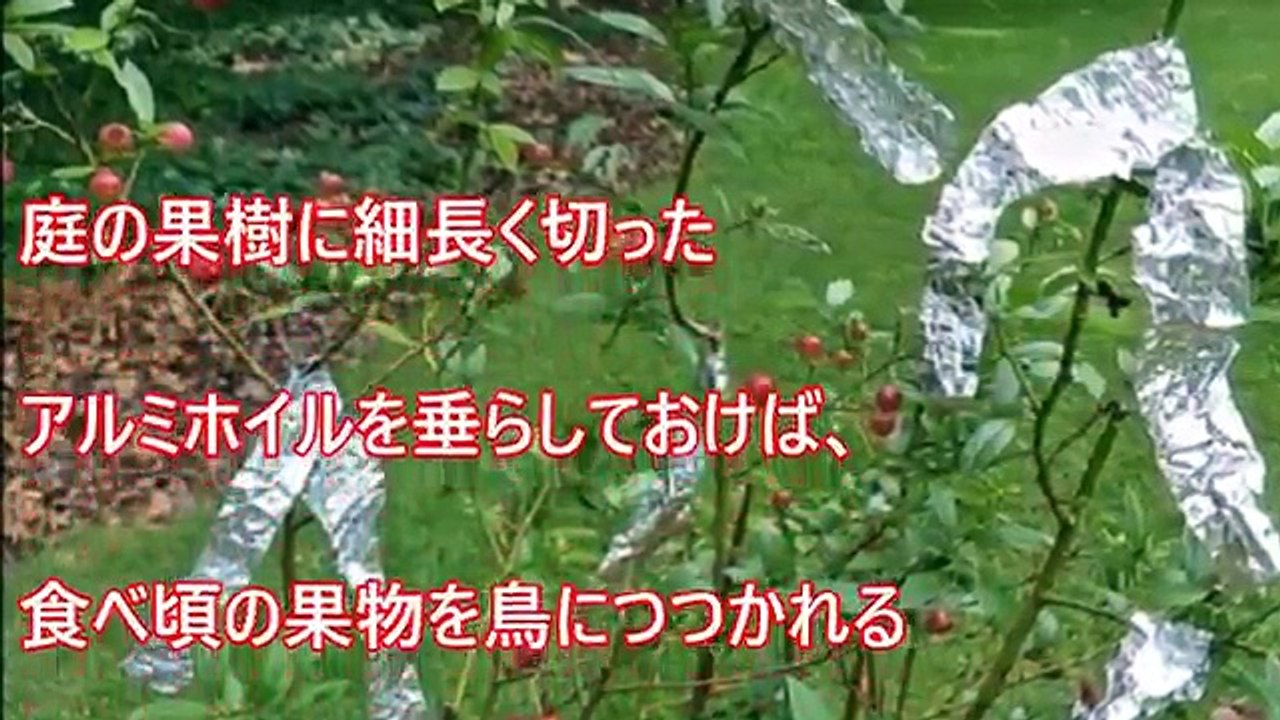 【衝撃】今すぐ実践！ アルミホイルの凄い活用法・裏技 part1　知ってよかった雑学