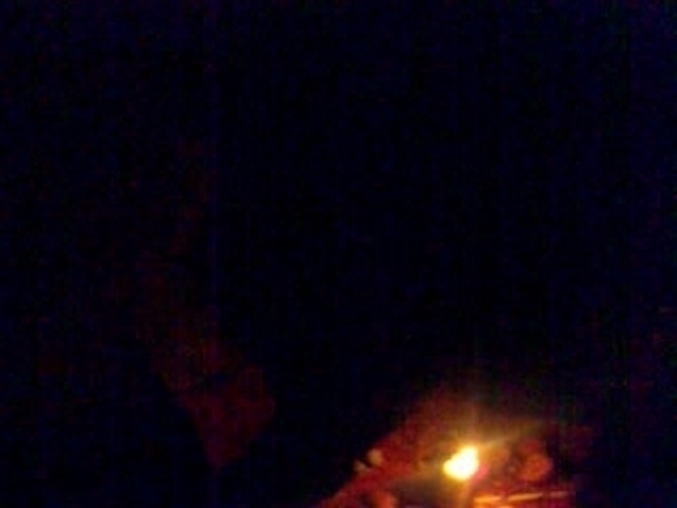 arriV gato anif mélissa