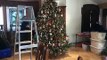 Et Noël décoré est est est relevé arbre Time-lapse galleria dallas