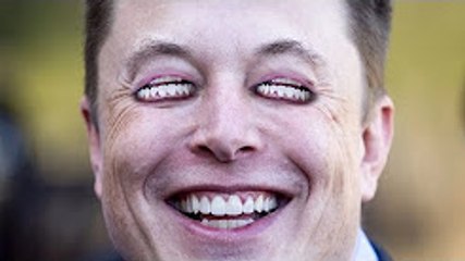 PewDiePie & Elon Musk Collaboration 🤝