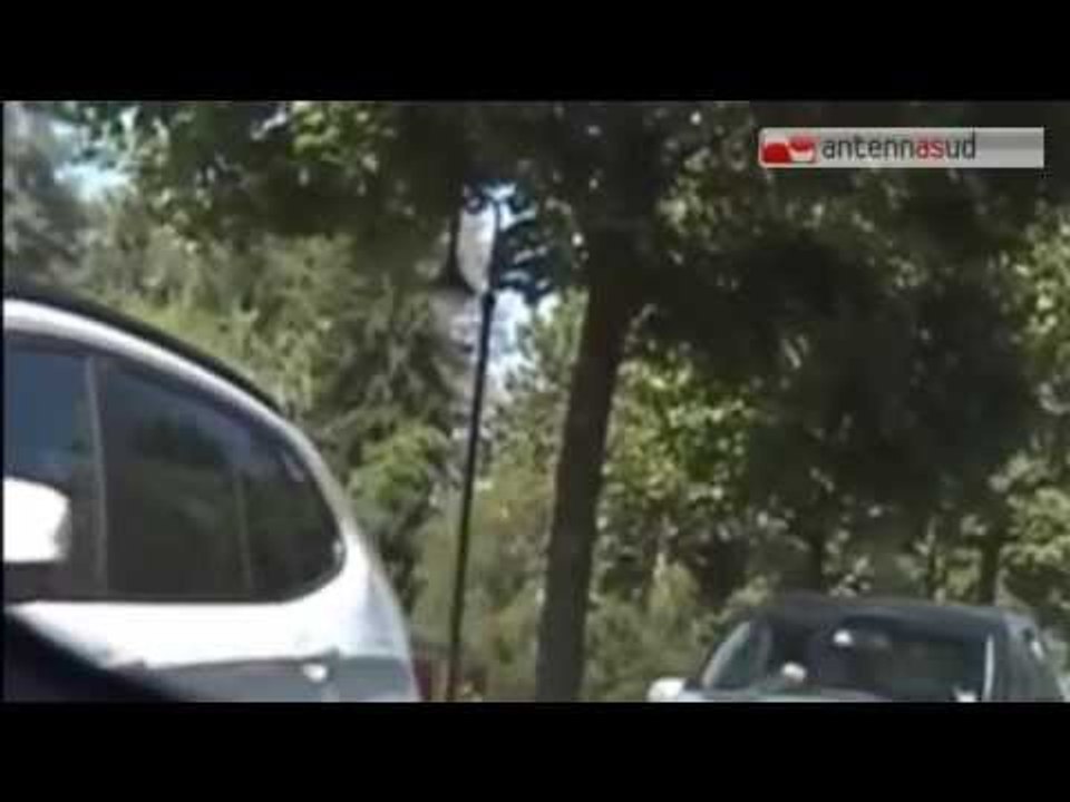 TG 23.02.15 Otto piante per salvare le città dallo smog
