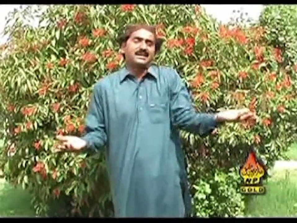Tada Zulfia De Cha Iqbal Lashari New Saraiki and Punjabi Song