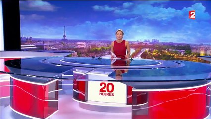 Air France : des compagnies étrangères au capital