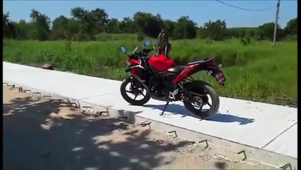 Ce singe ne veut pas rendre la moto à ce motard...