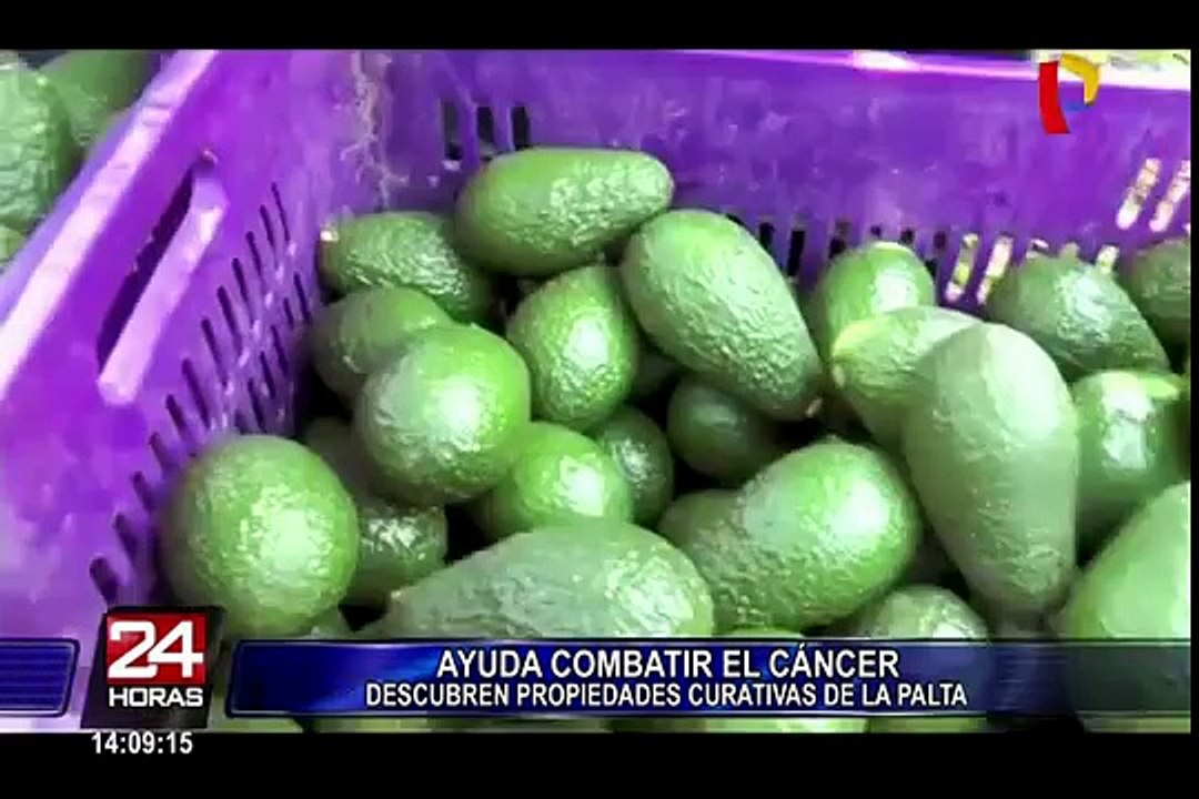 Conozca los beneficios de comer palta