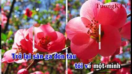 [Karaoke] Người Tình Không Đến - Nhạc Sống