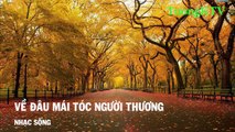 [Karaoke] Về Đâu Mái Tóc Người Thương - Nhạc Sống