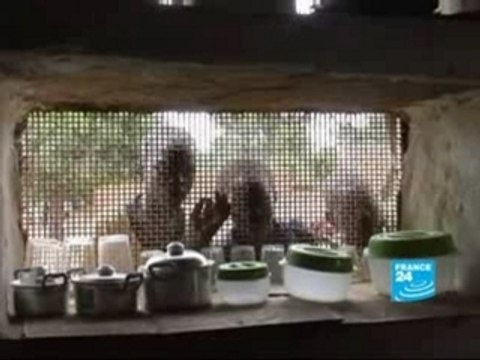 FRANCE24-FR-Reportage-Mali Bienvenue à dogonland