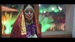 Shikha   Abhinav - Wedding Highlights (Beautiful Udaipur Wedding)