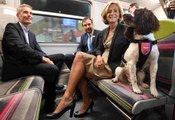 Carré: Les chiens renifleurs, nouveaux agents de la SNCF